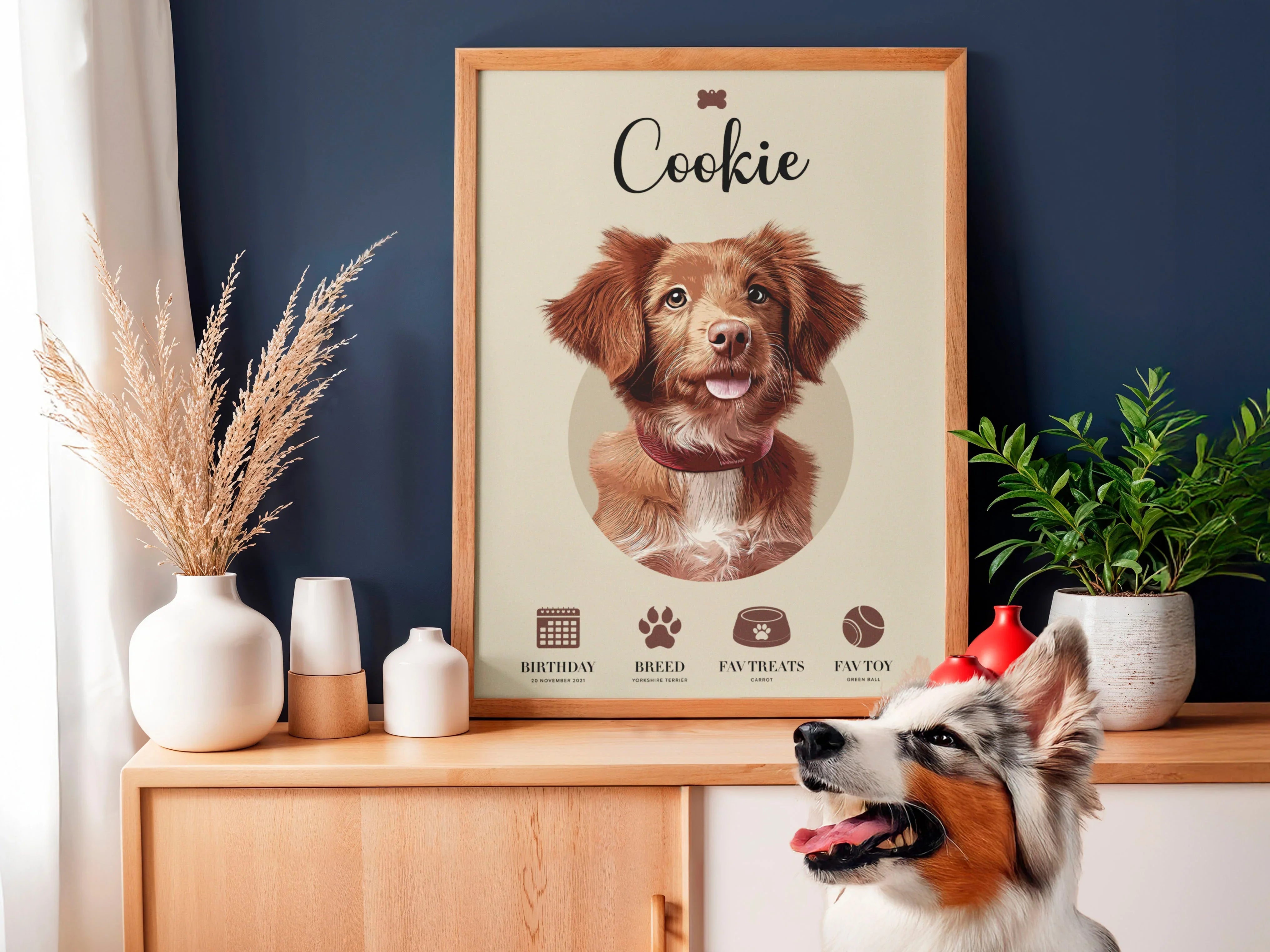 For Pet Lovers