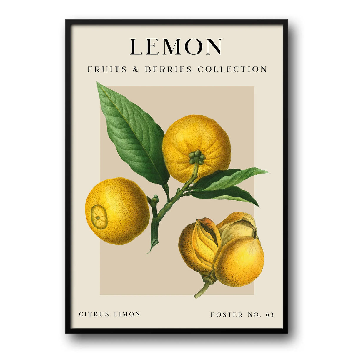 Vintage-Inspired Lemon Poster – UK Custom Posters
